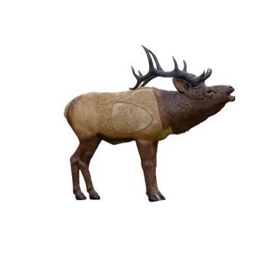 1 / 3 Scale Woodland Elk