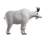 Mountain Goat