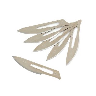 Lames de rasoir de remplacement ( 6)