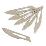 Lames de rasoir de remplacement ( 6)