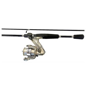 Spitfire 6'6" Combo Spin moyen