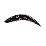 FLATFISH JOINTEDJ-205" SKUNK
