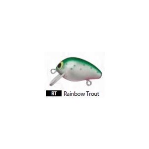 SNAP BEANS (S) 25mm 1"RAINBOW TROUT