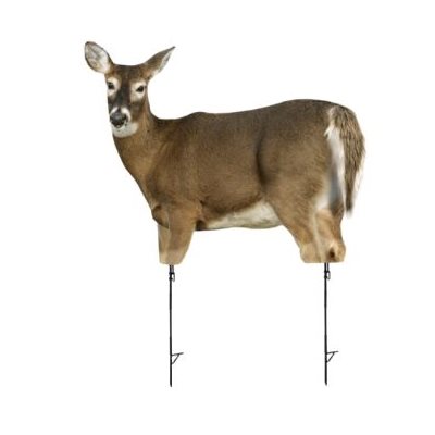 Trixie Whitetail Doe