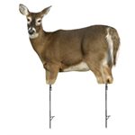 Trixie Whitetail Doe