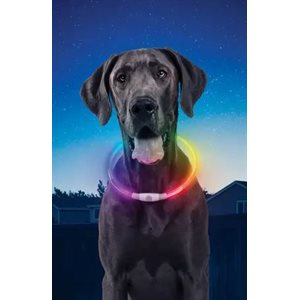 NiteHowl® Rechargeable LED Safety Necklace - Disc-O Select
