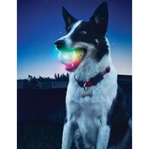 GlowStreak® LED Ball - Disc-O