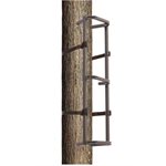 "Climbing Sections 31"""