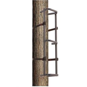 "Climbing Sections 31"""