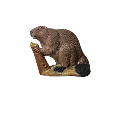Beaver