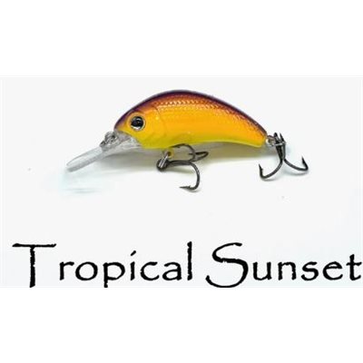 BOOGIE SHAD GRANDEUR 4 COUCHER DE SOLEIL TROPICAL
