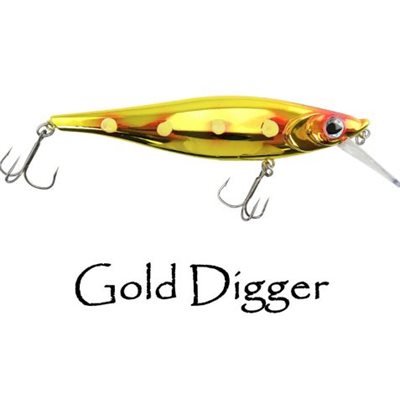 GOLD DIGGER- LIL SB REAPER