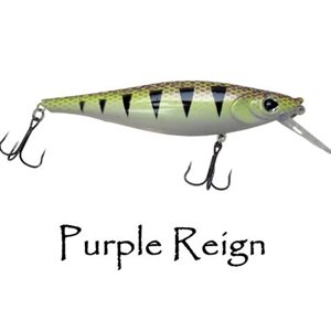 PURPLE REIGN- LIL SB REAPER