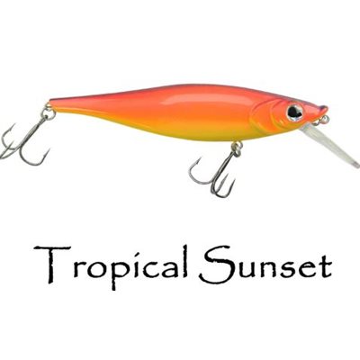 LIL SB REAPER COUCHER DE SOLEIL TROPICAL