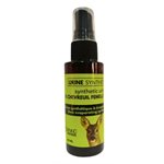 urine synthetique femelle chevreuil 60 ml