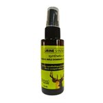 urine synthetiques male dominant 60 ml